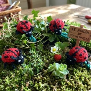 Petite coccinelle